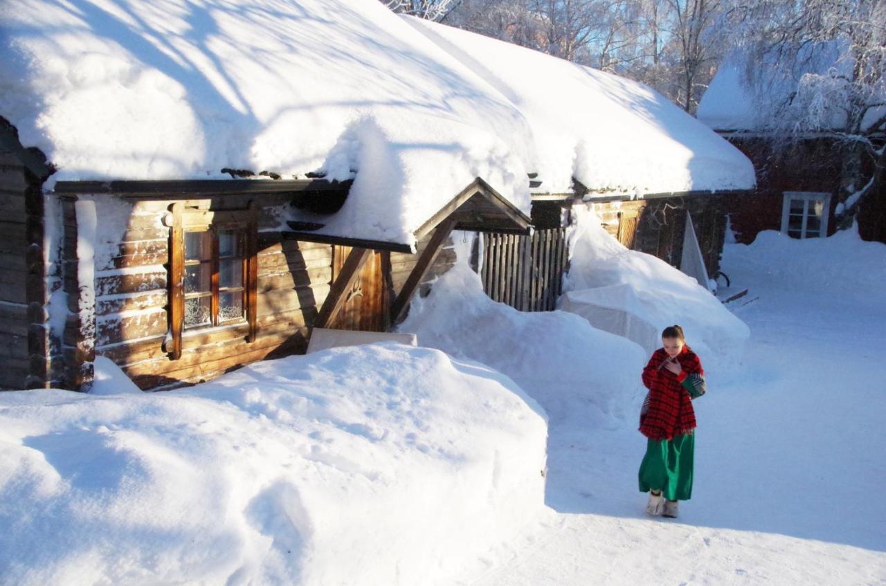 罗瓦涅米 Lauri Historical Log House Manor酒店 外观 照片
